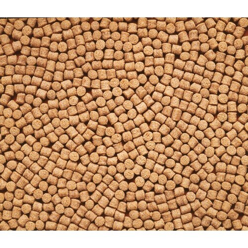 ひかり胚芽沈中粒