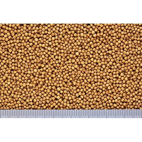 きんぎょのえさ5つの力基本食