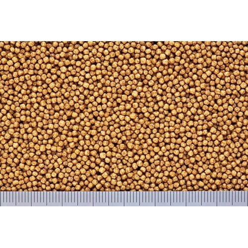 きんぎょのえさ5つの力基本食