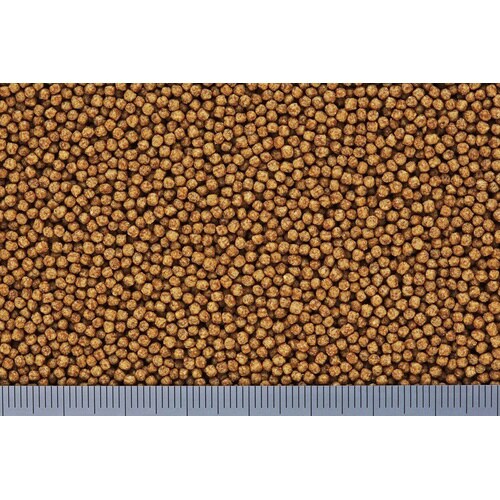 きんぎょのえさ5つの力野菜