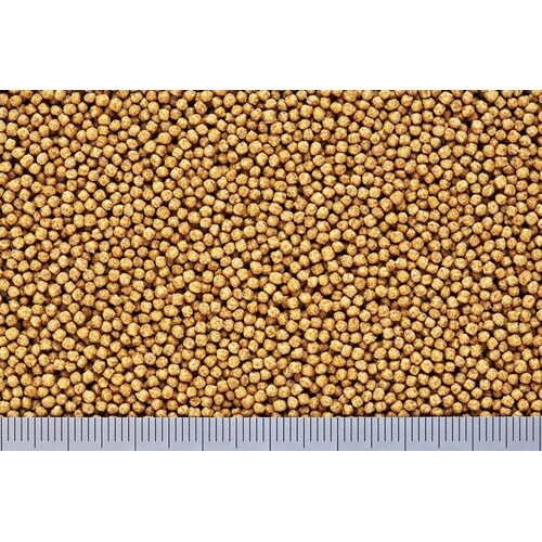 きんぎょのえさ5つの力胚芽