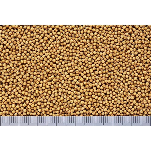 きんぎょのえさ5つの力胚芽