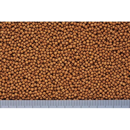 きんぎょのえさ5つの力増体