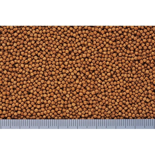 きんぎょのえさ5つの力増体