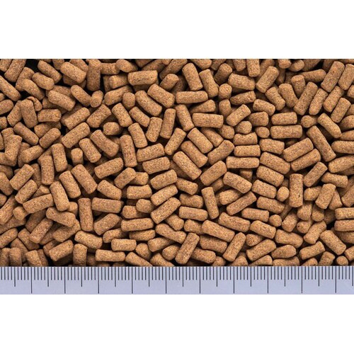 カメプロス沈下性大スティック