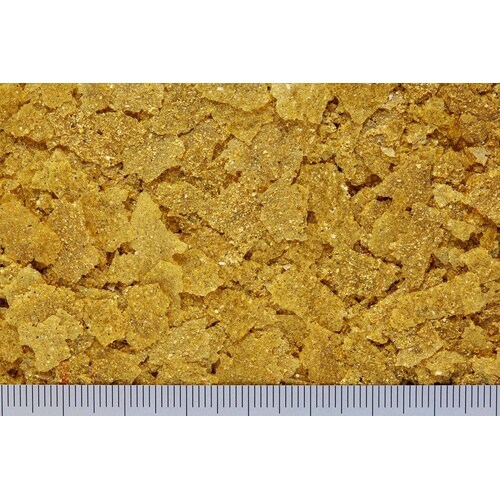 ゴールドプロスベジ