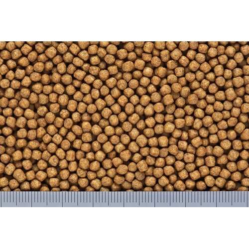 きんぎょのえさ5つの力基本食中粒