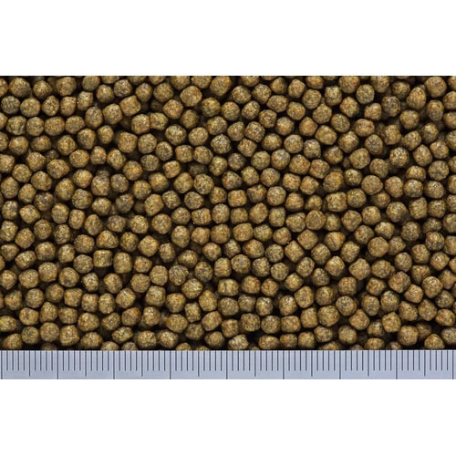 きんぎょのえさ5つの力色あげ中粒