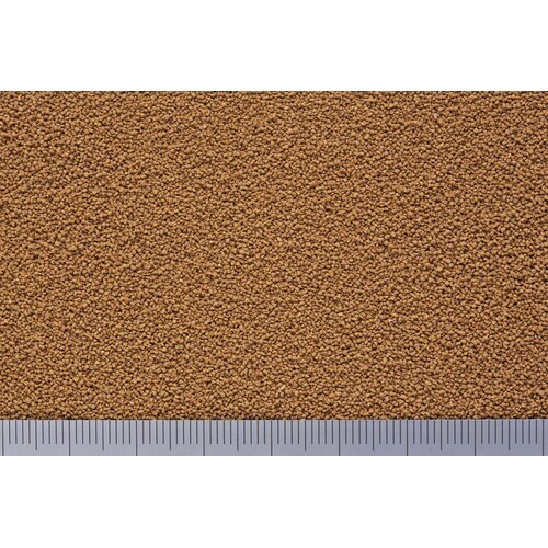 メダカの舞ブリード