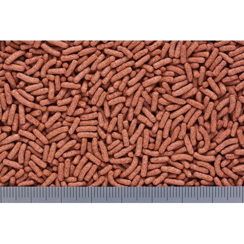 カメプロスプレミアム