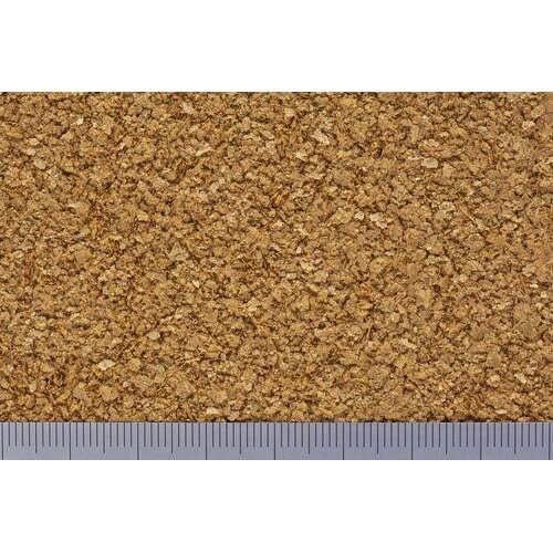 メダカプロス産卵繁殖