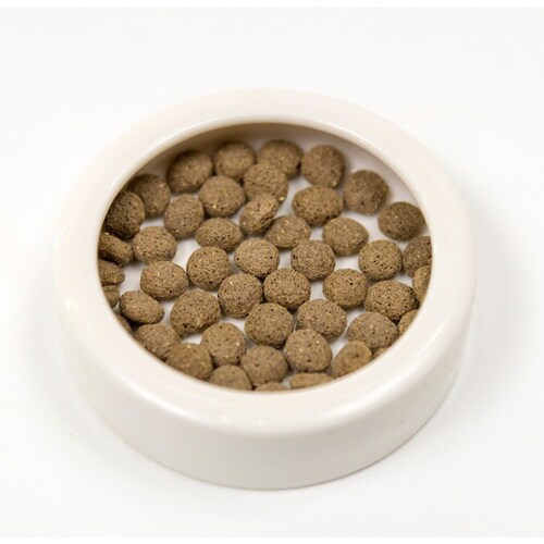 フトアゴドライ