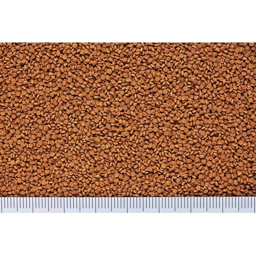 らんちうディスク色揚用