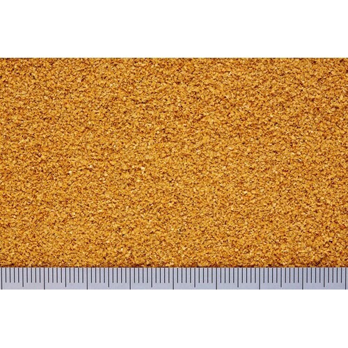 メダカプロスベビー