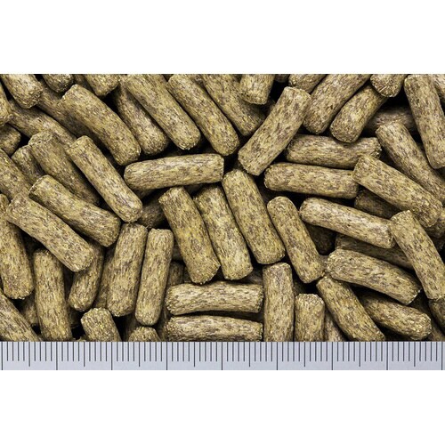 ひかりチチララ