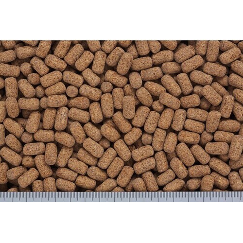 カメプロスヘルスケア