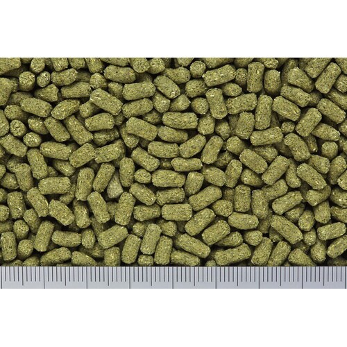 マルベリックドライ