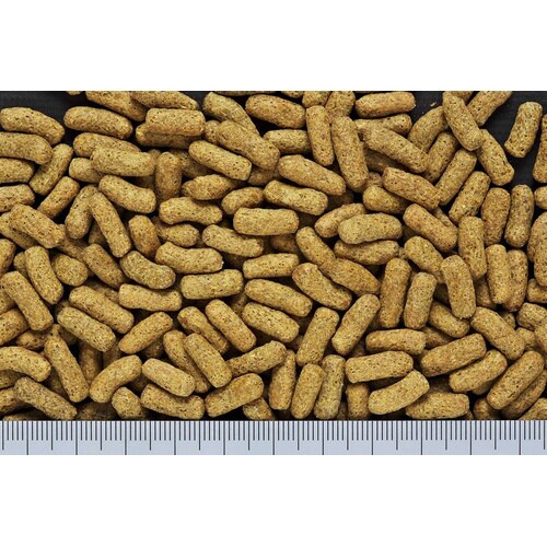 ひかりハムハム