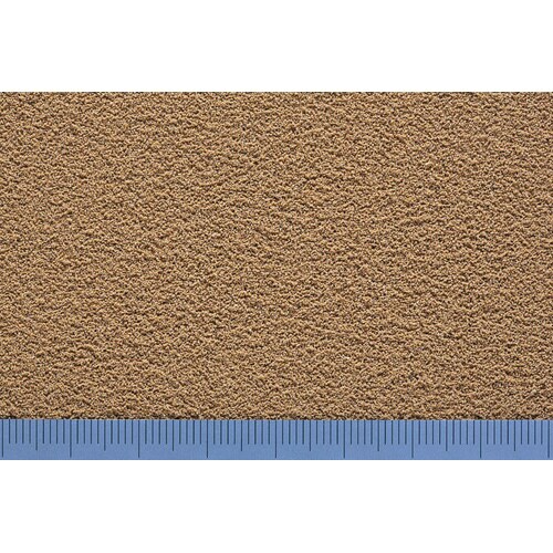 メダカ幼魚ハイパー育成