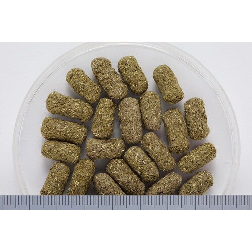 マルベリックドライ大粒