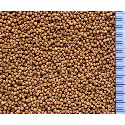 ベビーゴールド