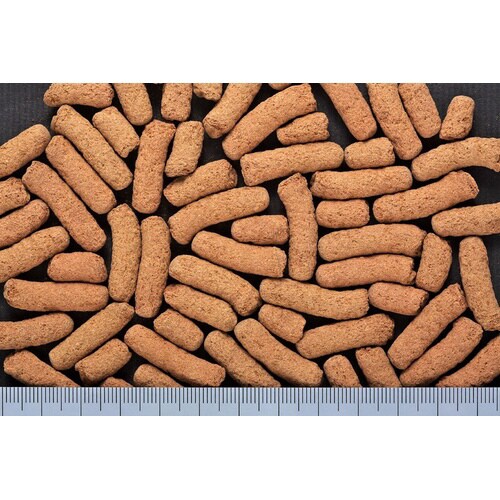 ひかりベルツノ