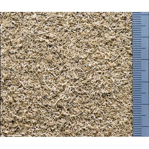 ひかりメダカの天然食×2