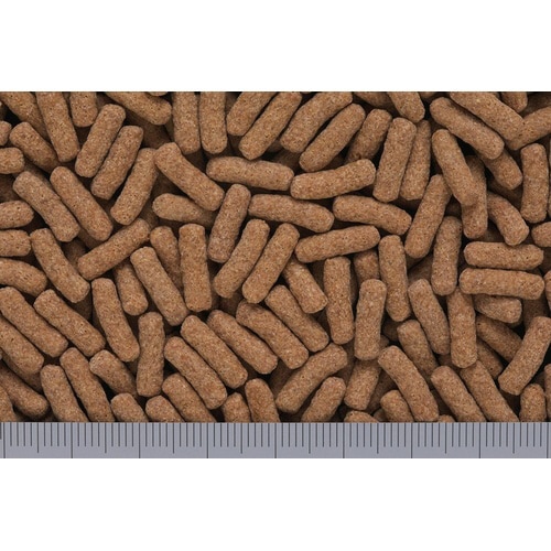 カメプロスヘルスケア大スティック