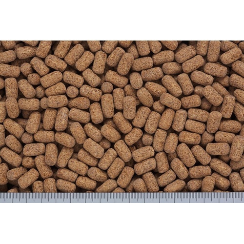 おおきなカメのエサハイパークリア