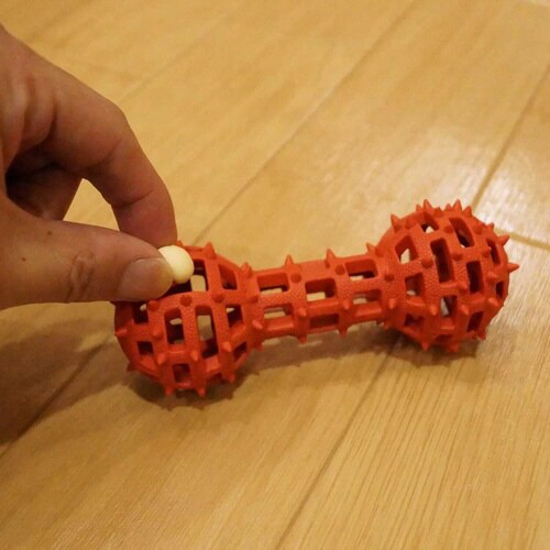 カムガムアミーバー ダンベル