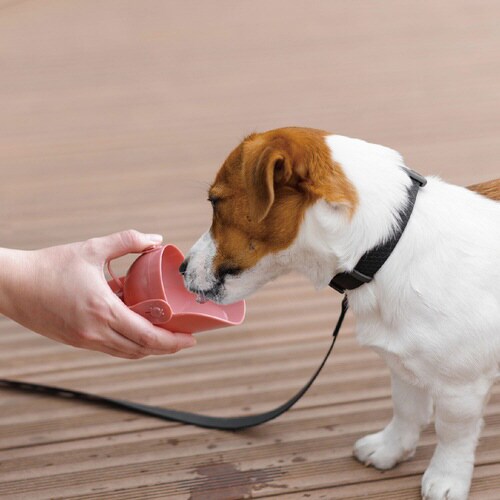 おでかけボトルキャップ君 ピンク