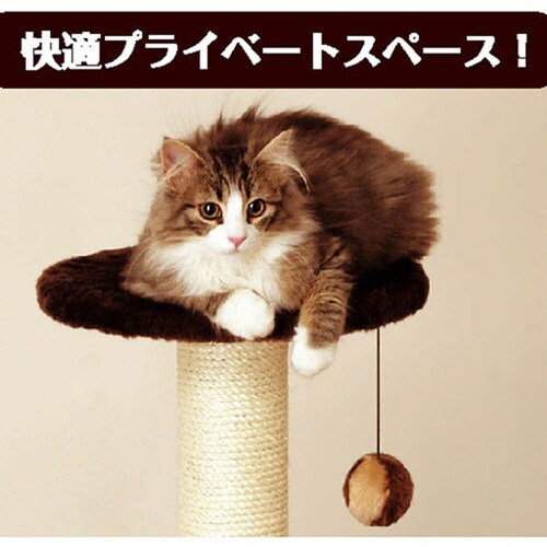 キャティースクラッチリビング コンパクト