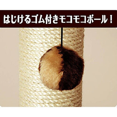 キャティースクラッチリビング コンパクト