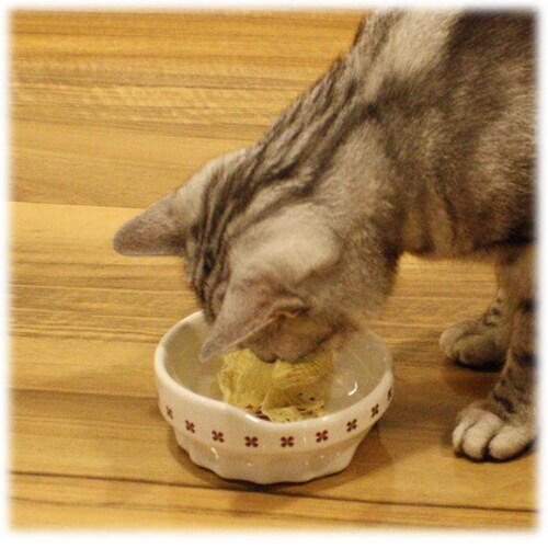 便利なクローバー陶製食器