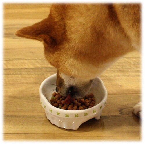 便利なクローバー陶製食器