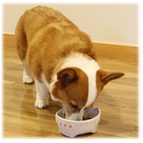 便利なクローバー陶製食器