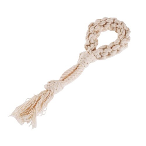 毎日ハミガキコットン ループ