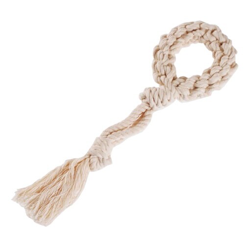 毎日ハミガキコットン ループ