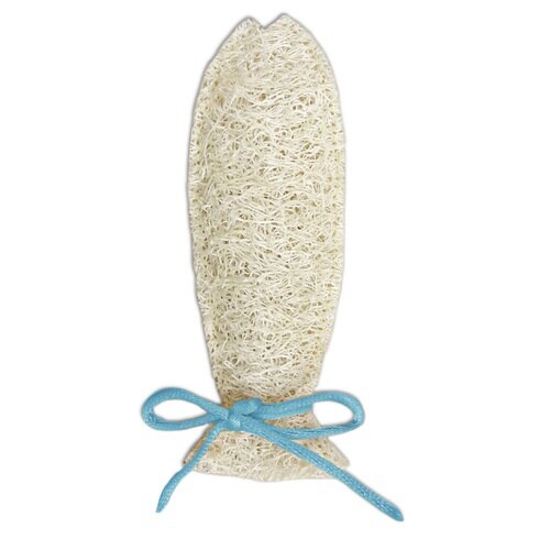 にゃんデントヘチマでハミガキさかな