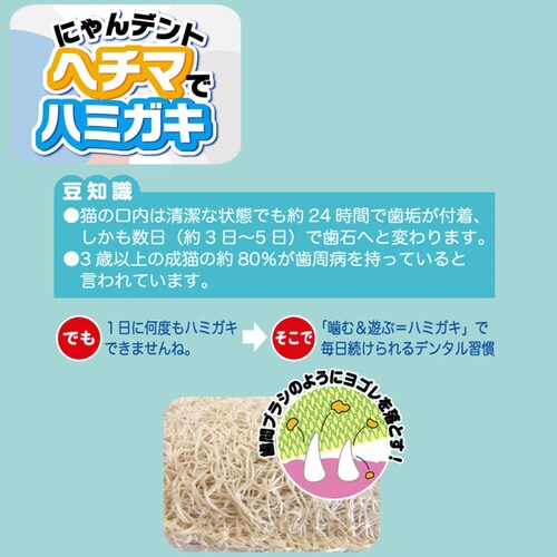 にゃんデントヘチマでハミガキさかな