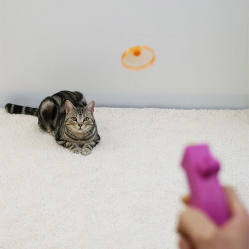 じゃれ猫にゃんコプター