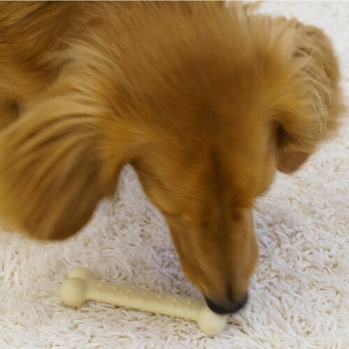 ガッシガシボーン