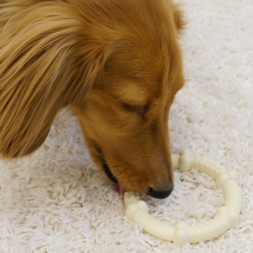 ガッシガシリング