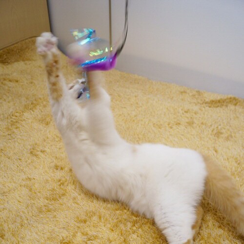 じゃれ猫 猫のお好みじゃらし交換用 ぶら