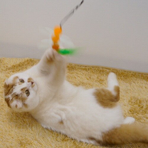 じゃれ猫 猫のお好みじゃらし交換用 きら