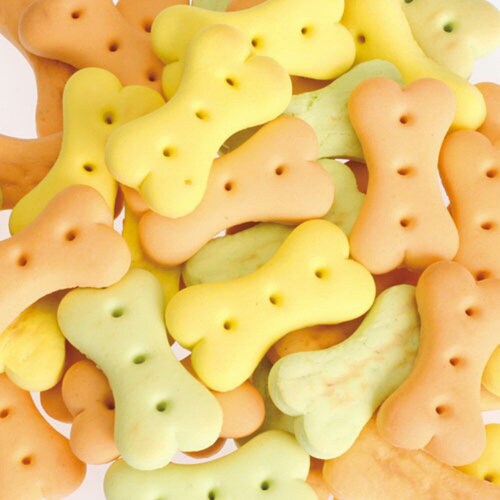 おなかにやさしいワンワンビスケット 緑黄×24