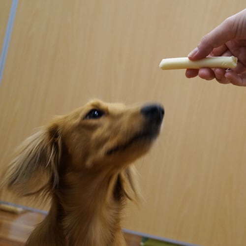 hello!ドギーチーズ お徳用