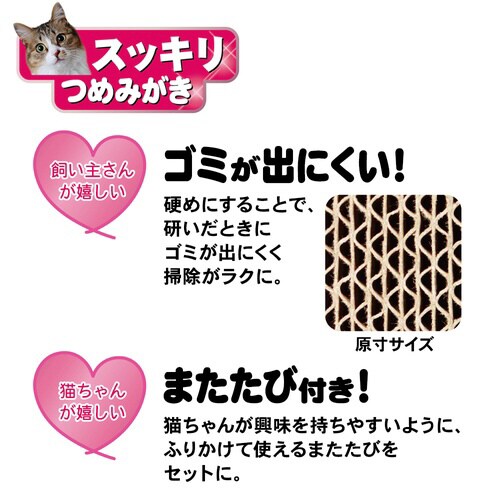 スッキリつめみがき