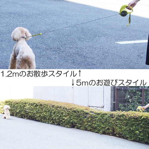 2段式ドギーウォーカーグリーン