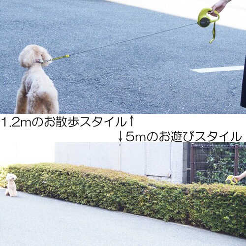 2段式ドギーウォーカーグリーン